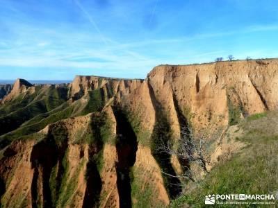 Carcavas Castrejón,Santa María de Melque; el paular cenicientos selva de oza